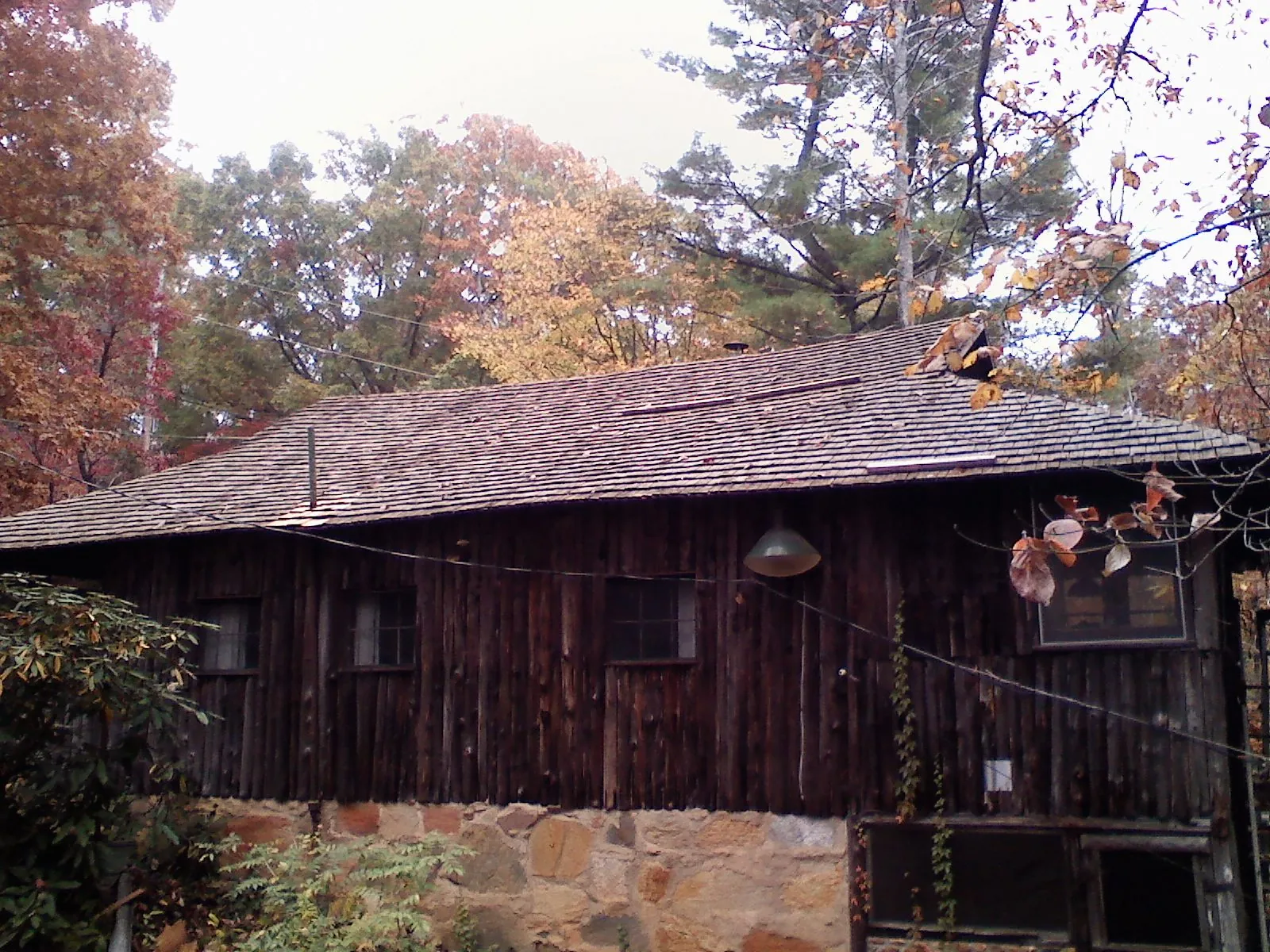 Weathered wood shake roof on a rustic board sided cabin in Landing